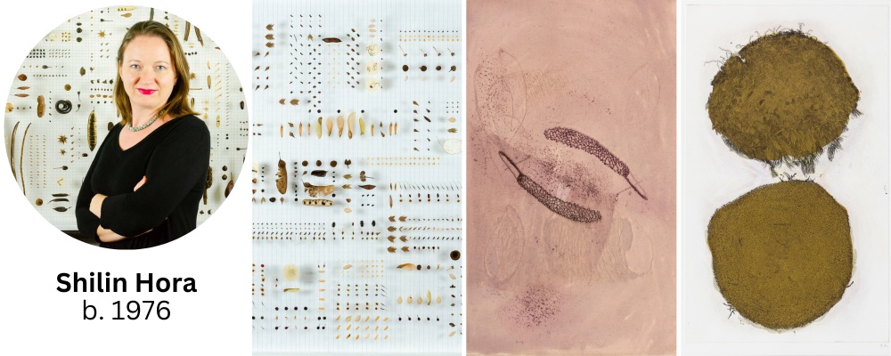 Artist Profile: Shilin Hora